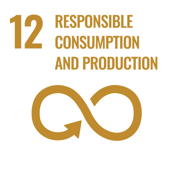 responsible consumption and production